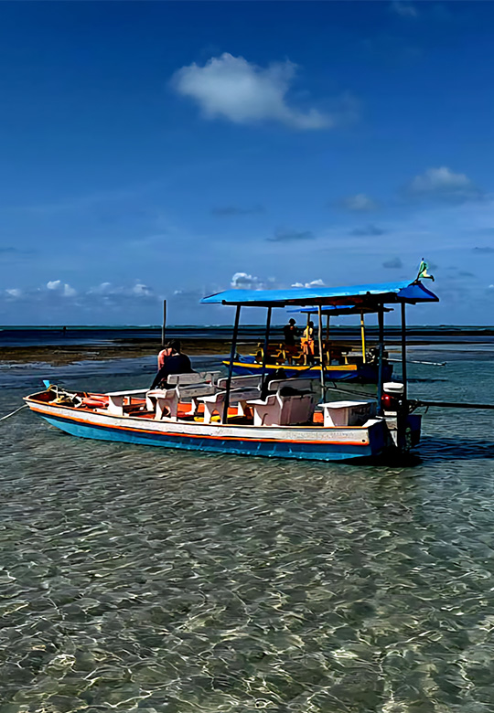 Passeios de Jangadas