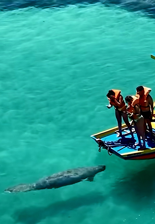 Santuário do Peixe-boi